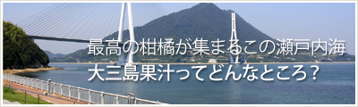 最高の柑橘が集まるこの瀬戸内海